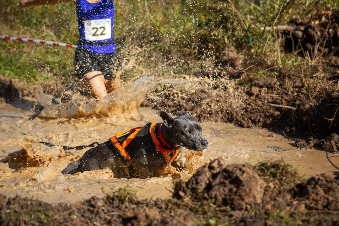 FOTO: Minulý ročník preteku Odvážne labky, foto 13
