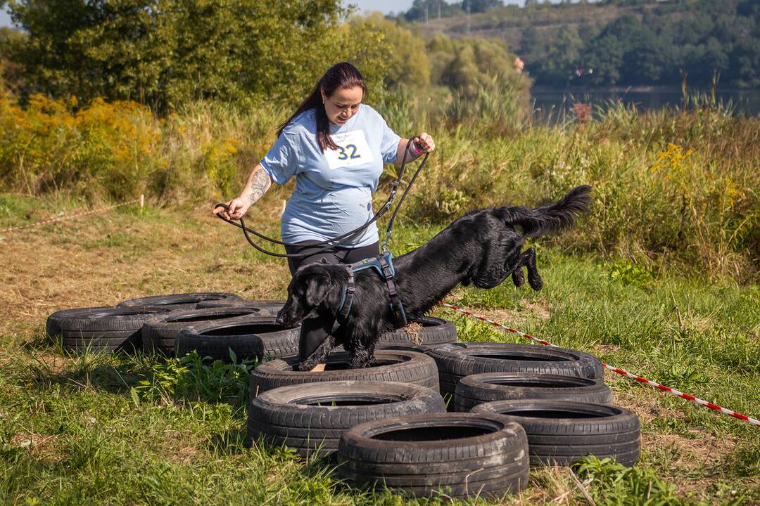 FOTO: Minulý ročník preteku Odvážne labky, foto 14