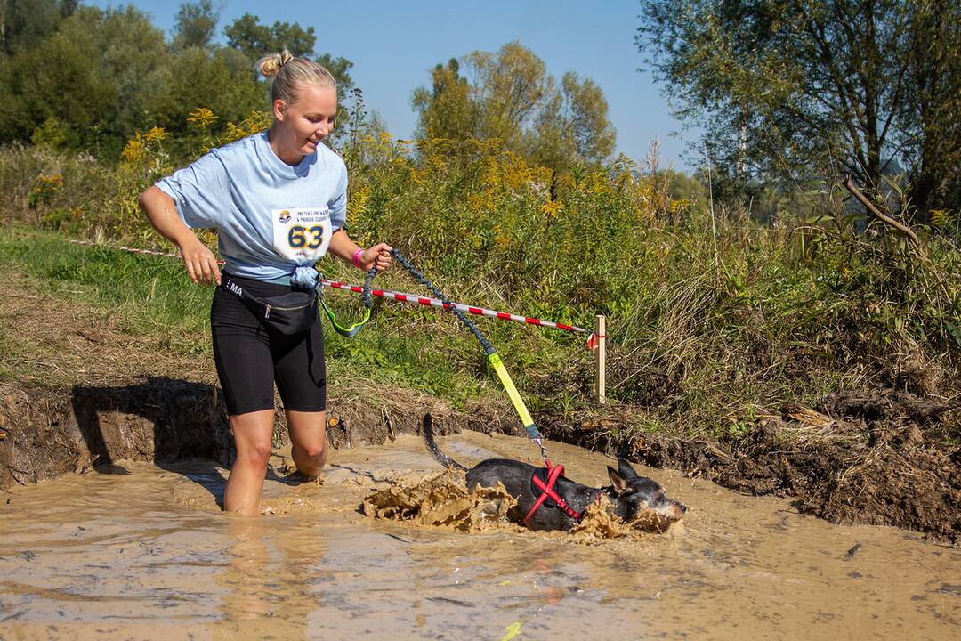 FOTO: Minulý ročník preteku Odvážne labky, foto 16