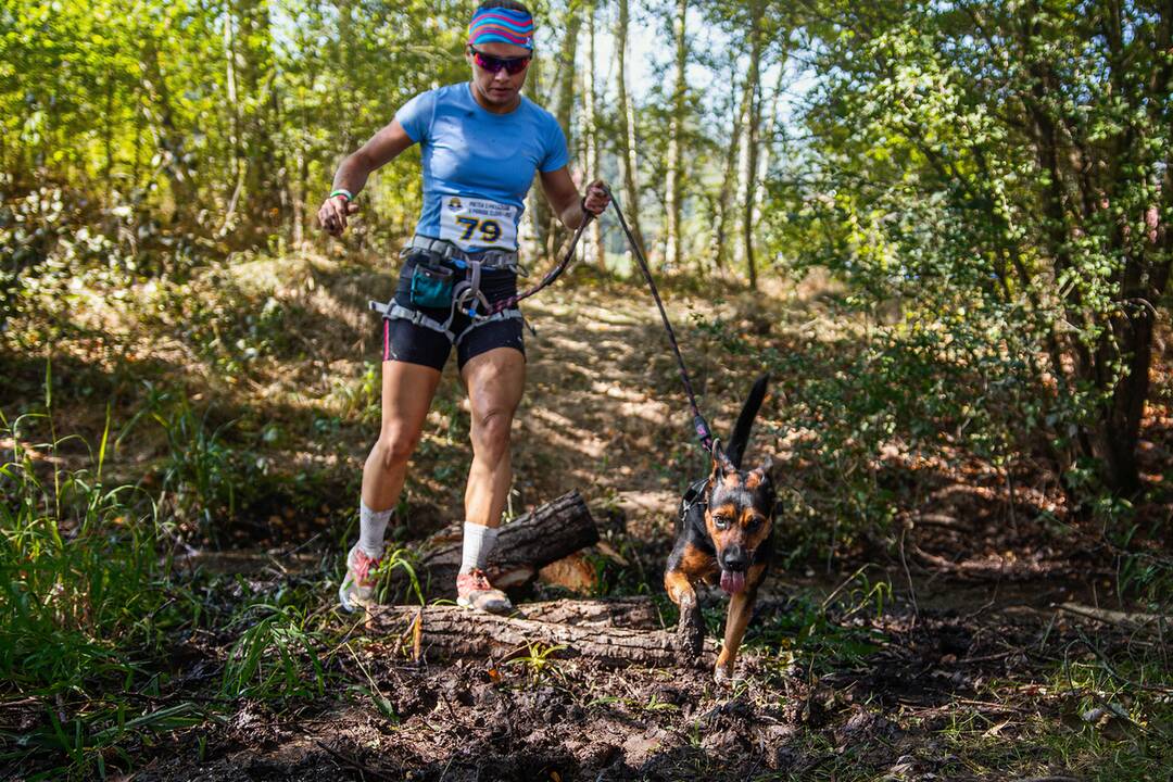 FOTO: Minulý ročník preteku Odvážne labky, foto 18