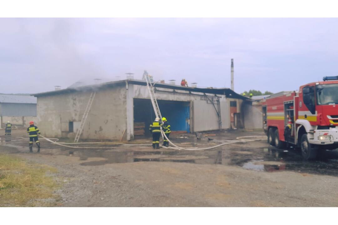 FOTO: V obci pri Krupine horela píla. Nikto sa nezranil, škody sú státisícové, foto 6