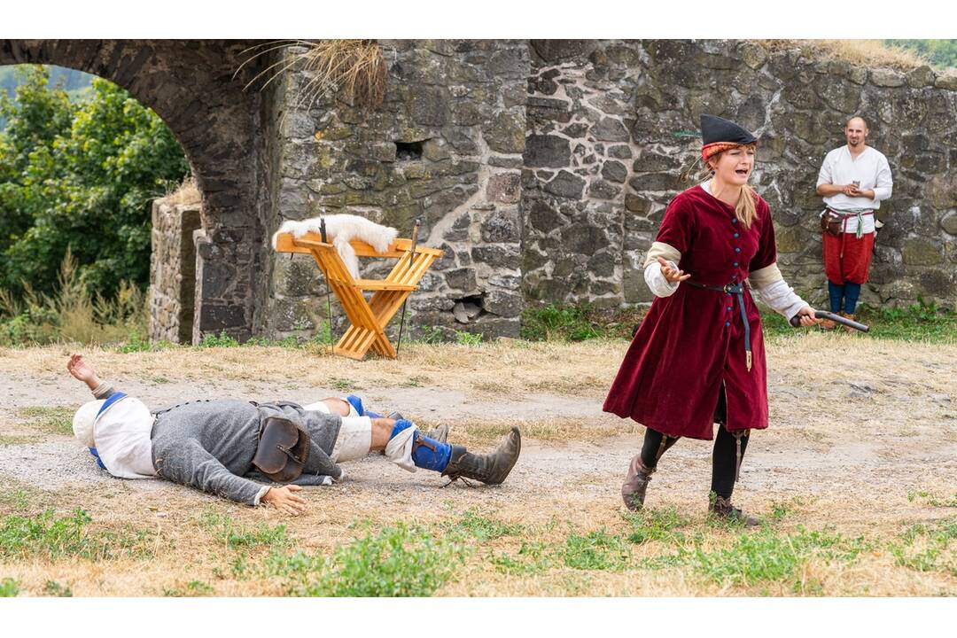 FOTO: Národný výstup na Pustý hrad, foto 13