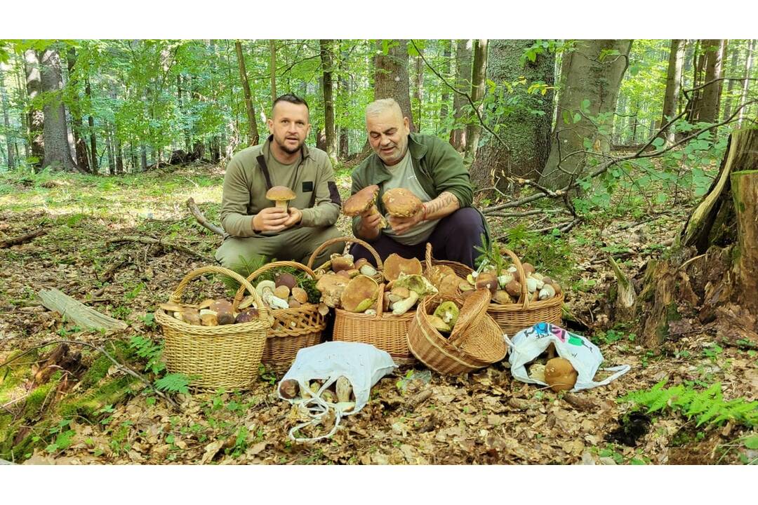 FOTO: Hubári sa v Banskobystrickom kraji tešia z početných zberov, foto 10