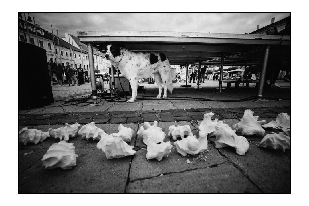 FOTO: Protestu na podporu Kultŕuneho štrajku podporila aj Banská Bystrica, foto 1