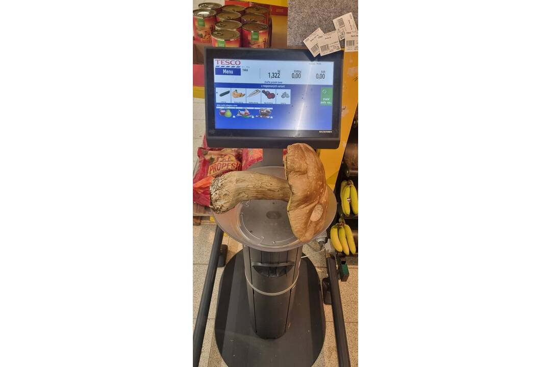 FOTO: Hubárom sa darí v celom kraji, foto 7