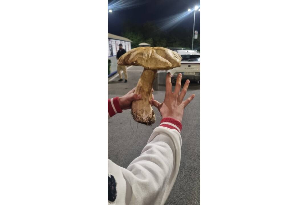 FOTO: Hubárom sa darí v celom kraji, foto 8