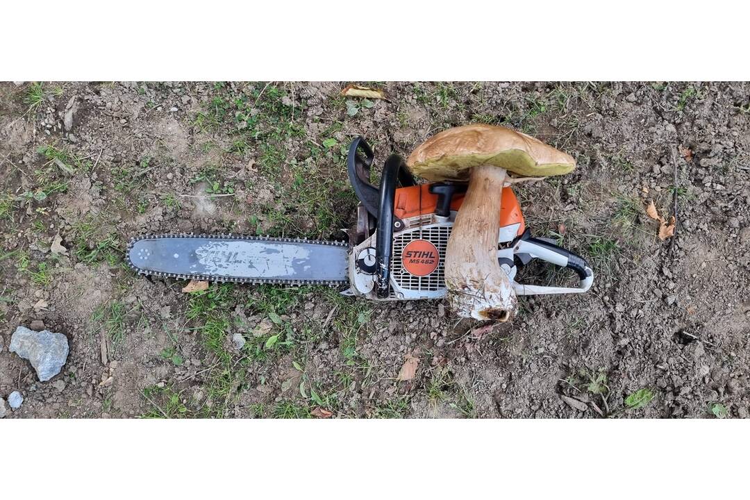 FOTO: Hubárom sa darí v celom kraji, foto 14