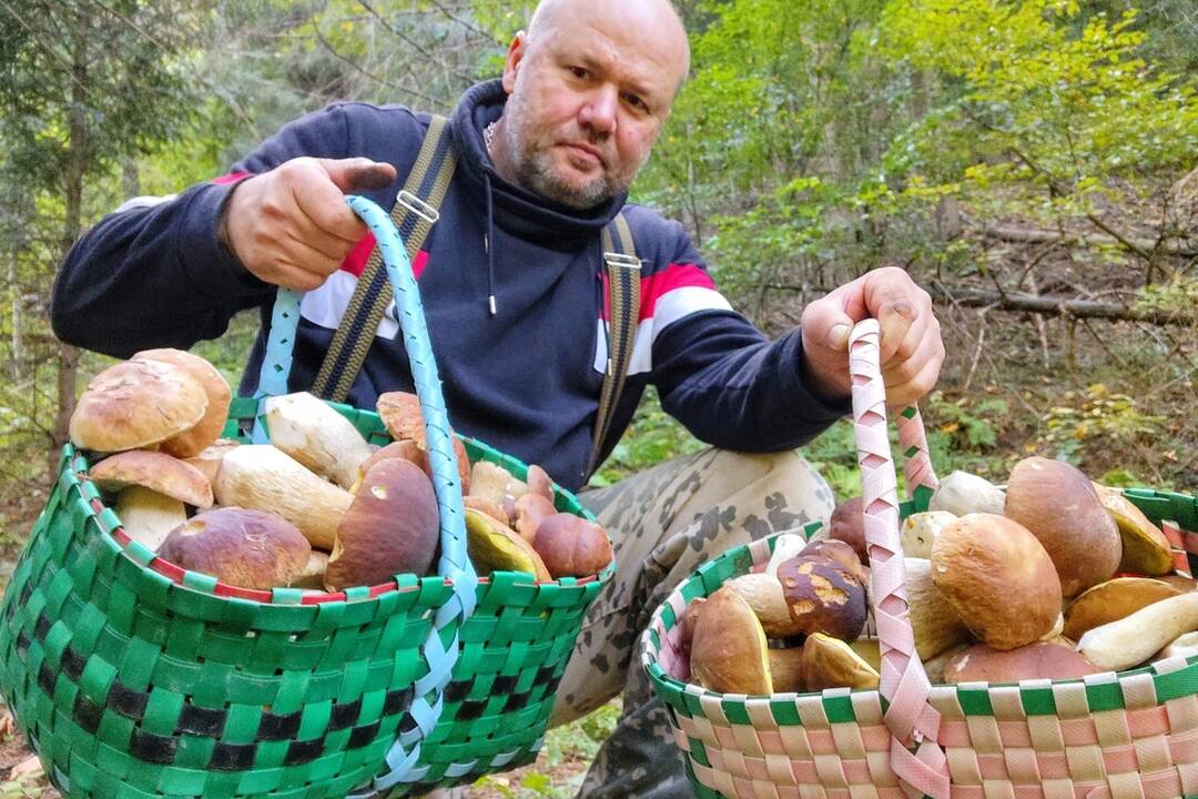 FOTO: HUbárom sa v Banskobystrickom kraji darí, foto 9