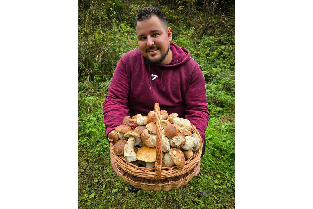 FOTO: HUbárom sa v Banskobystrickom kraji darí, foto 13