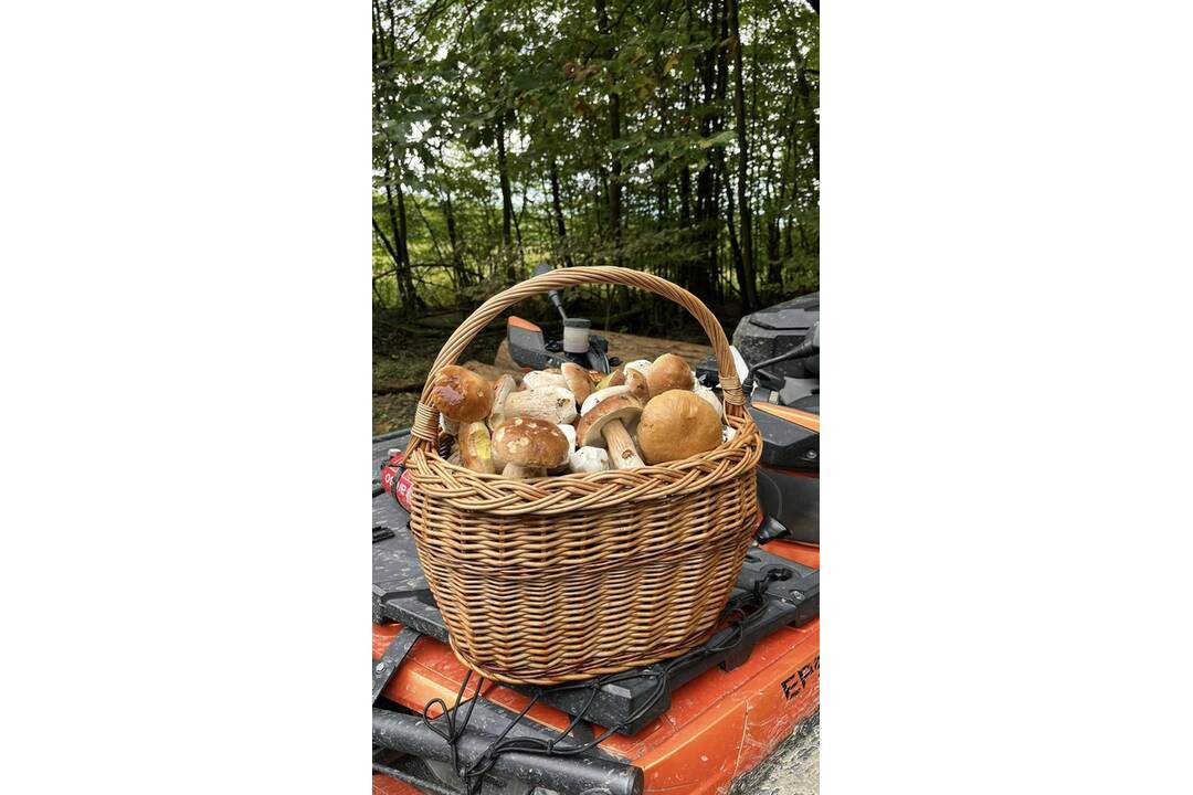 FOTO: Hubári sa v Banskobystrickom kraji tešia z početných zberov, foto 13