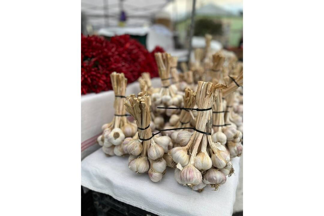 FOTO: Žiarsky jarmok už v plnom prúde, foto 15