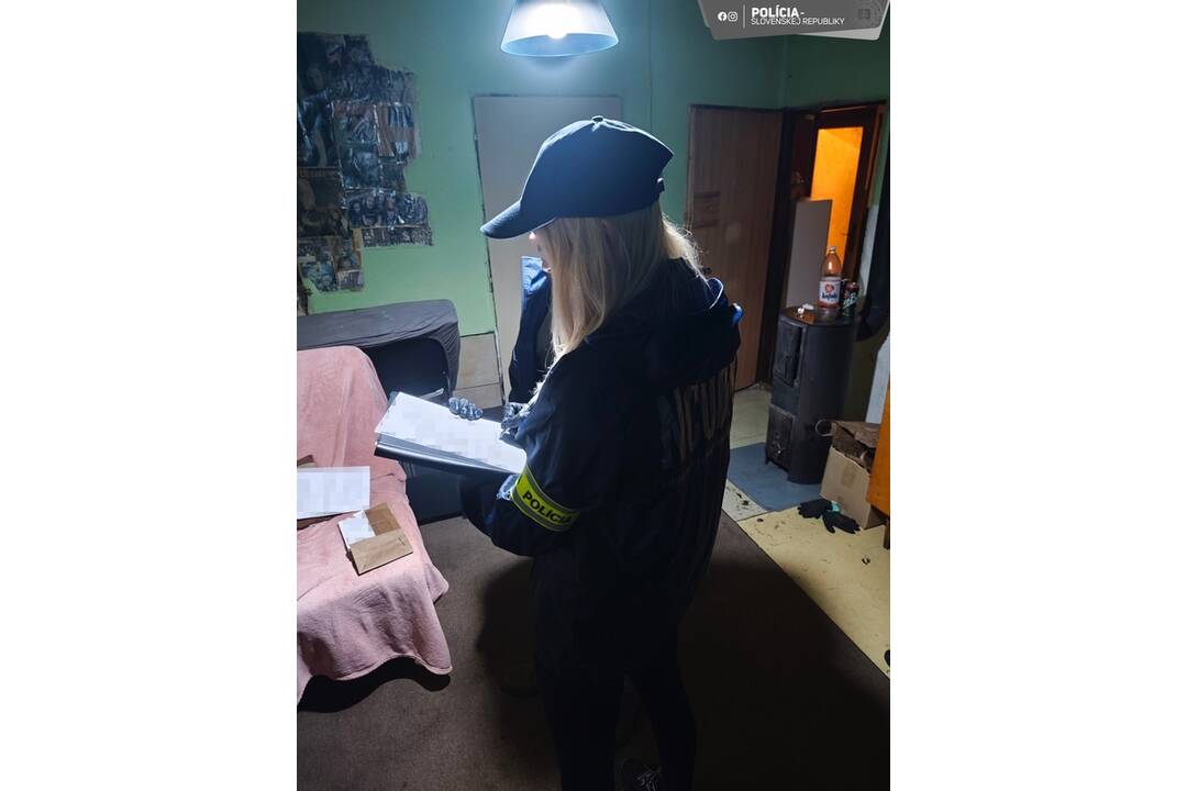FOTO: Polícia pri domovej priehlaidke zadržala obvineného, foto 1