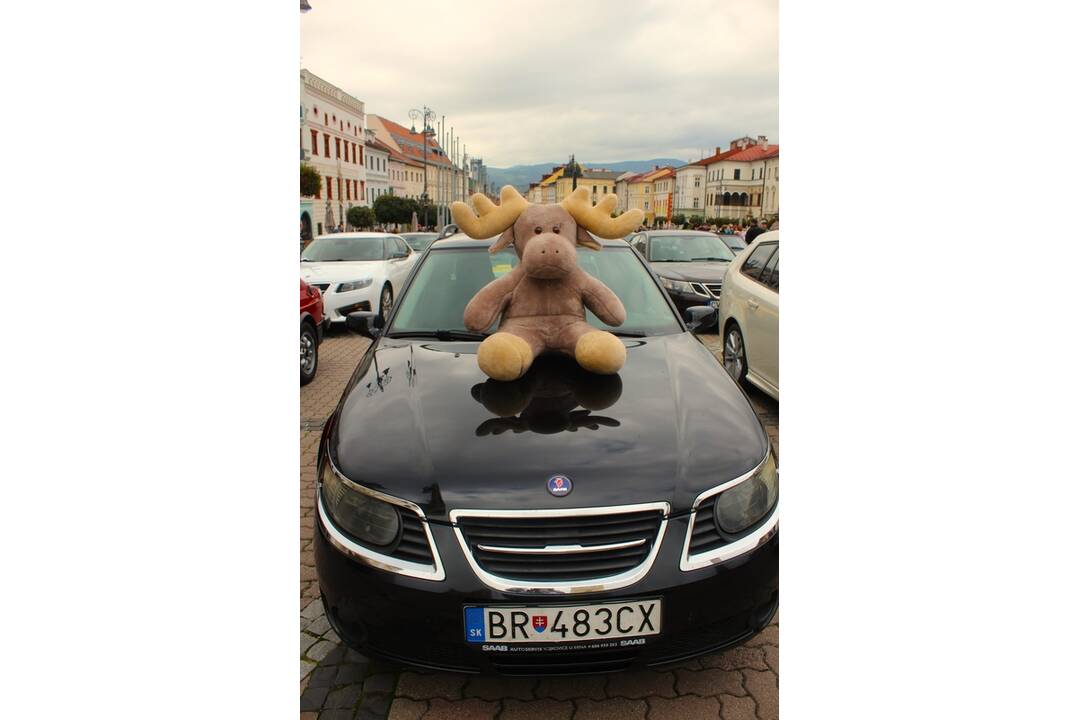 FOTO: Podujatie prilákalo množstvo zvedavých milovníkov áut, foto 1