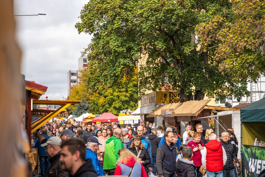 FOTO: Žiar nad Hronom má za sebou úspešný jarmok, foto 17