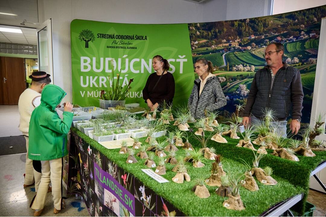 FOTO: Zatváranie Bánoša sa spojilo s Krajskými dožinkami, foto 6