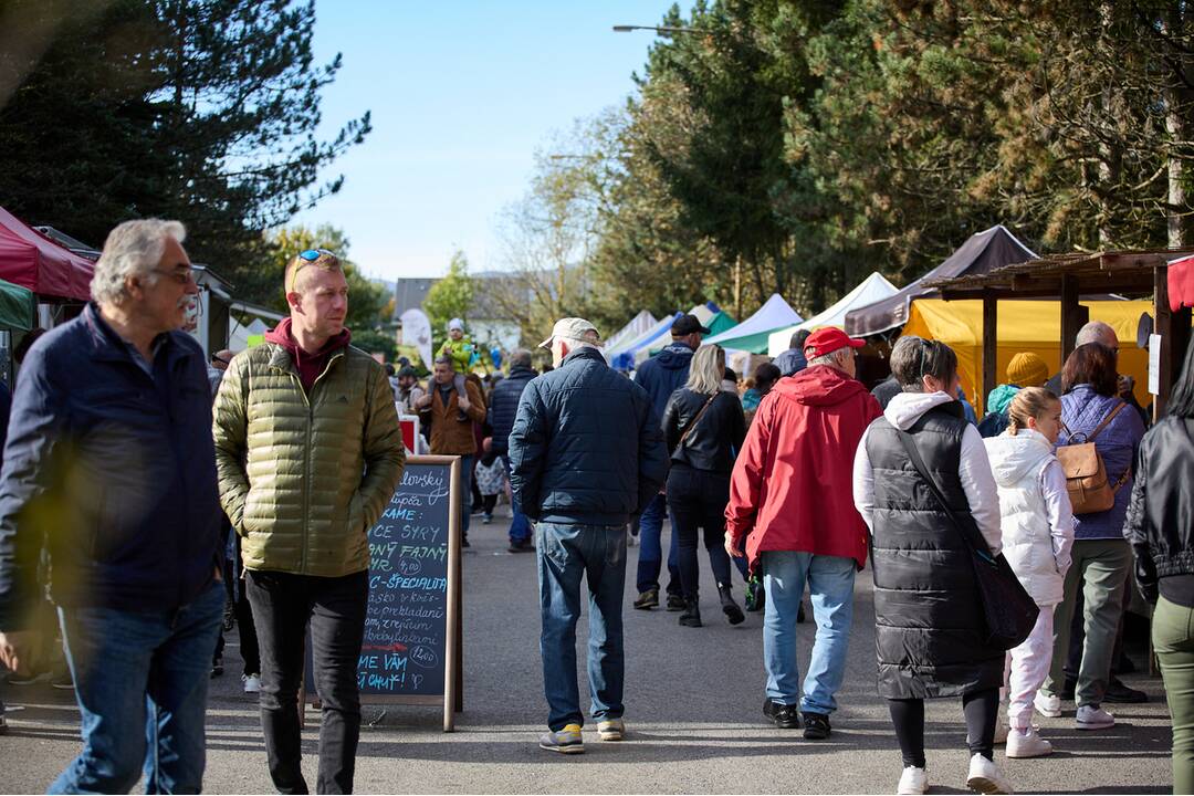 FOTO: Zatváranie Bánoša sa spojilo s Krajskými dožinkami, foto 7