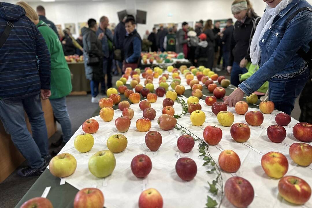FOTO: Zatváranie Bánoša sa spojilo s Krajskými dožinkami, foto 15