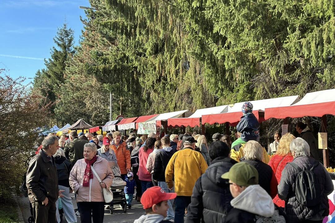 FOTO: Zatváranie Bánoša sa spojilo s Krajskými dožinkami, foto 17