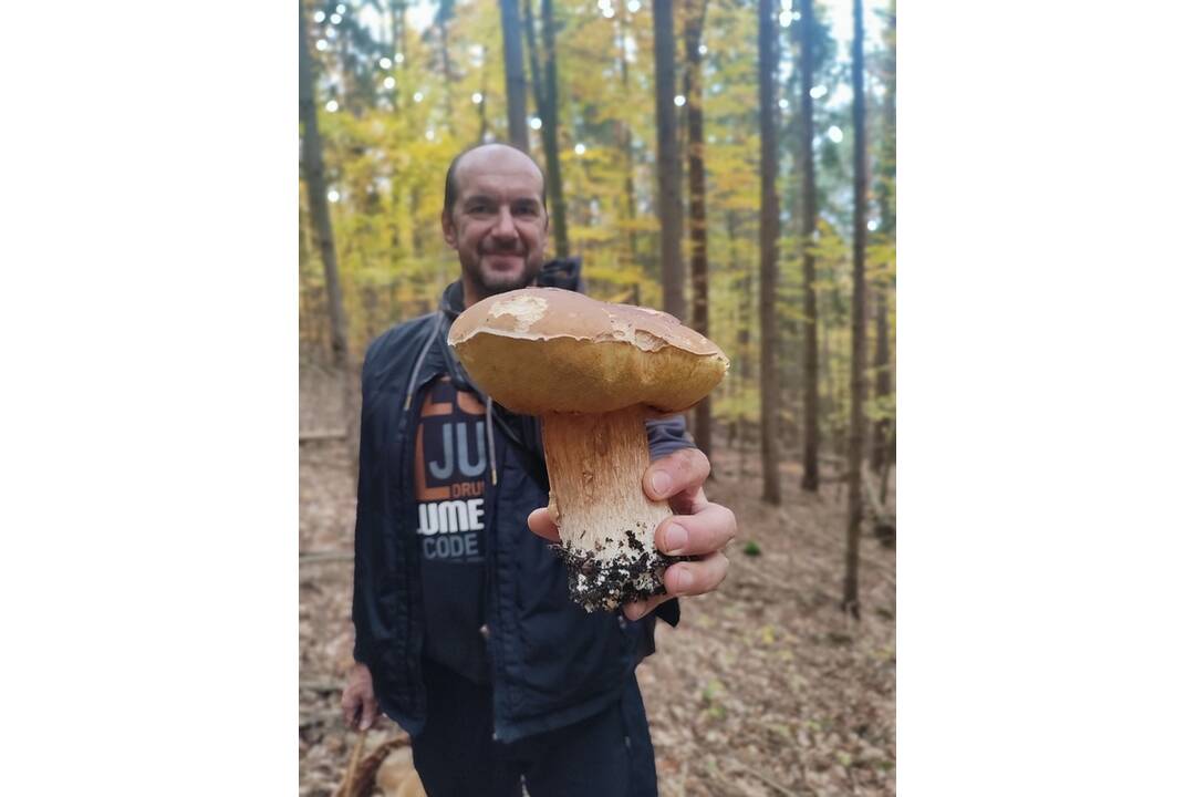 FOTO: Hubári chodia po posledné úlovky, foto 15