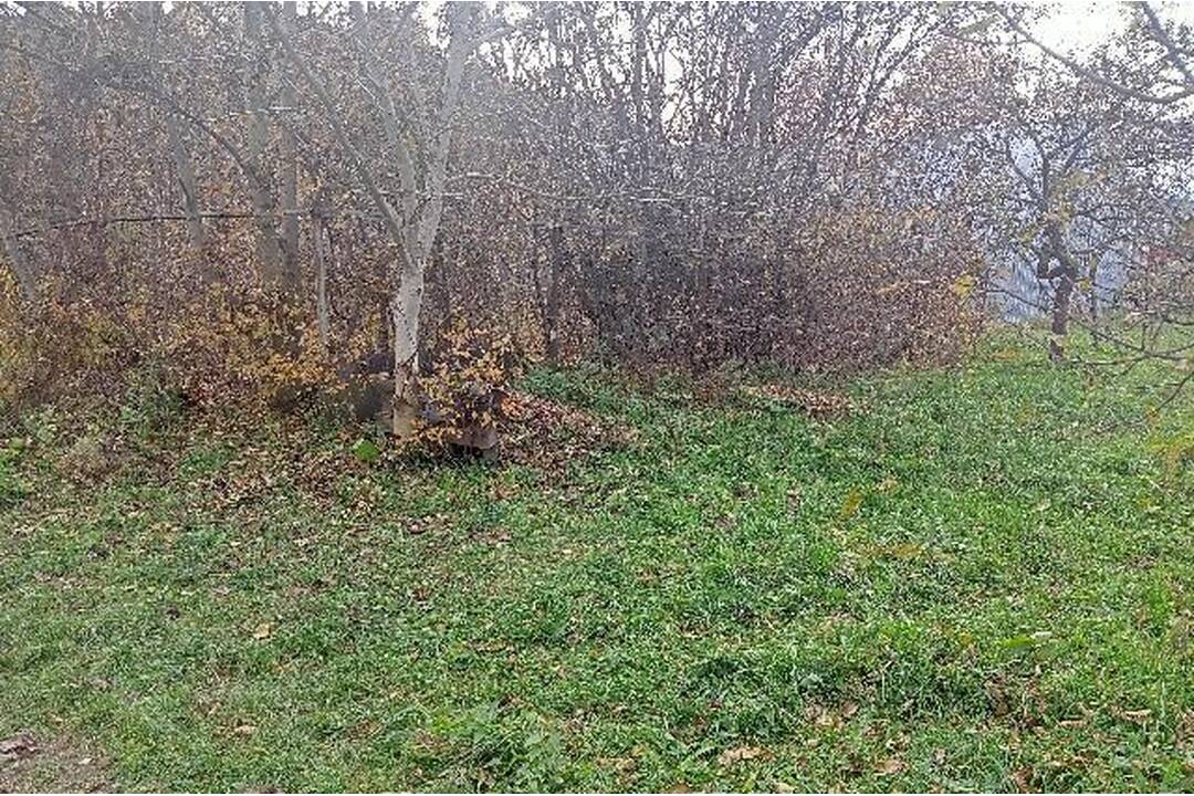 FOTO: Polícia v Bystrici našla zakladateľa skládky, foto 1