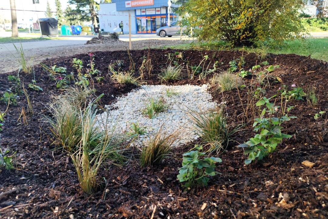 FOTO: Na Uhlisku vznikla dažďová záhrada, foto 2