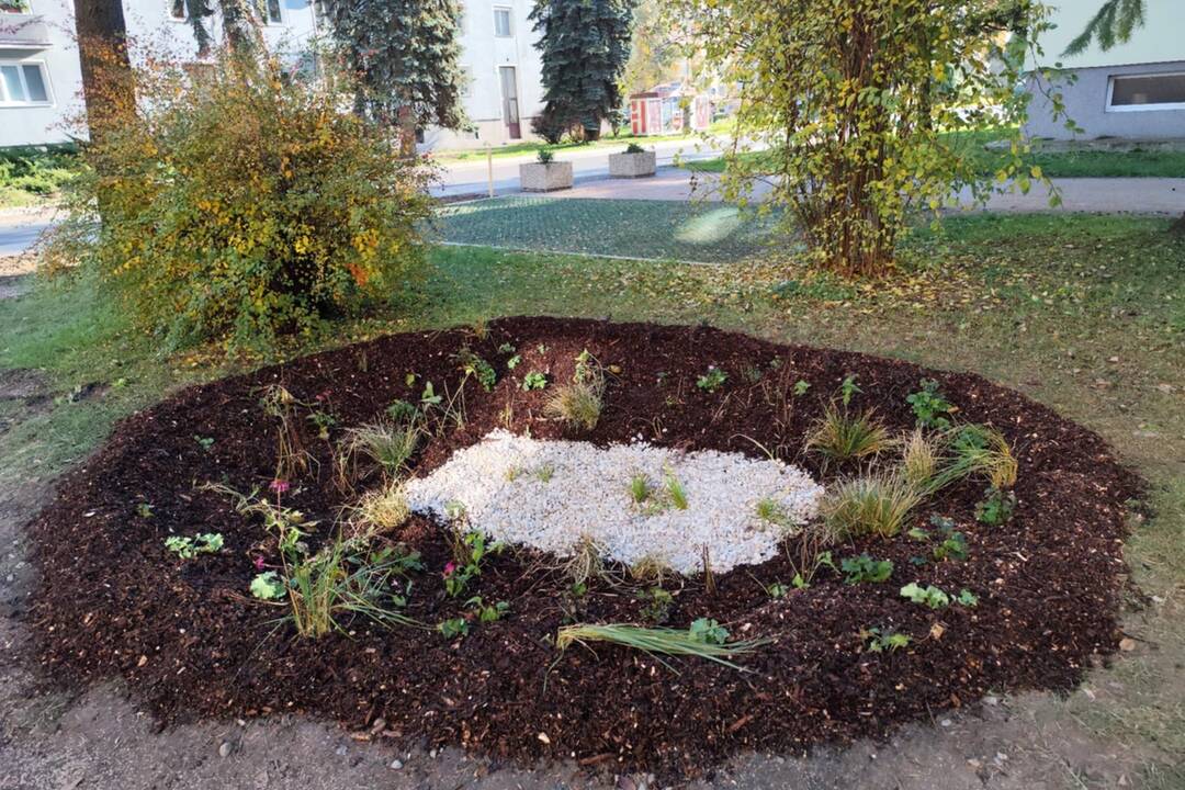 FOTO: Na Uhlisku vznikla dažďová záhrada, foto 3