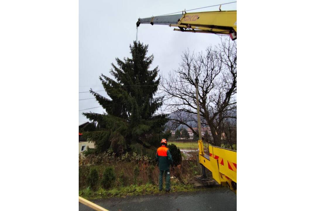 FOTO: Vianočný stromček už zdobí námestie, foto 5