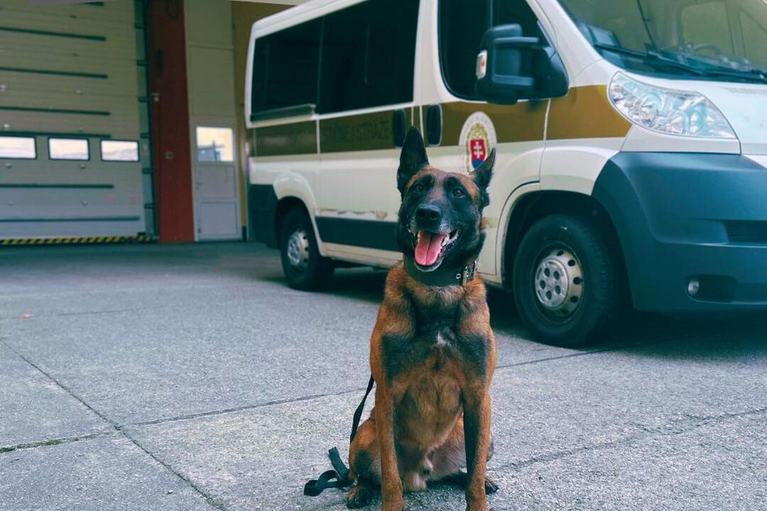 FOTO: Banskobystrickí gymnazisti skončili vo väzení aj napriek tomu, že nič neurobili, foto 4