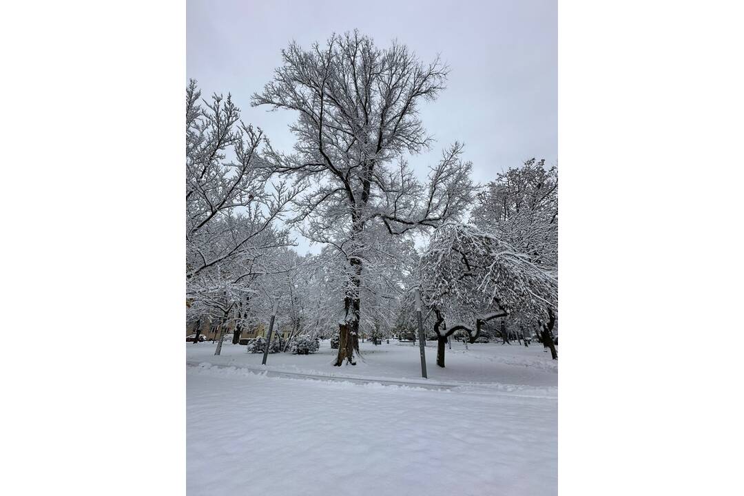 FOTO:  Mestá v Banskobystrickom kraji sú poriadne zasnežené, foto 2