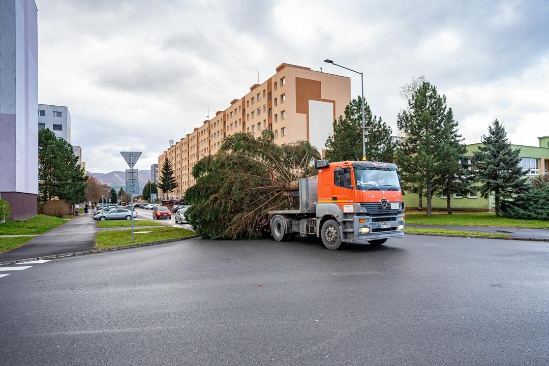 FOTO: Pozrite si, ako sa dostal stromček aj na námestie v Žiari nad Hronom, foto 6