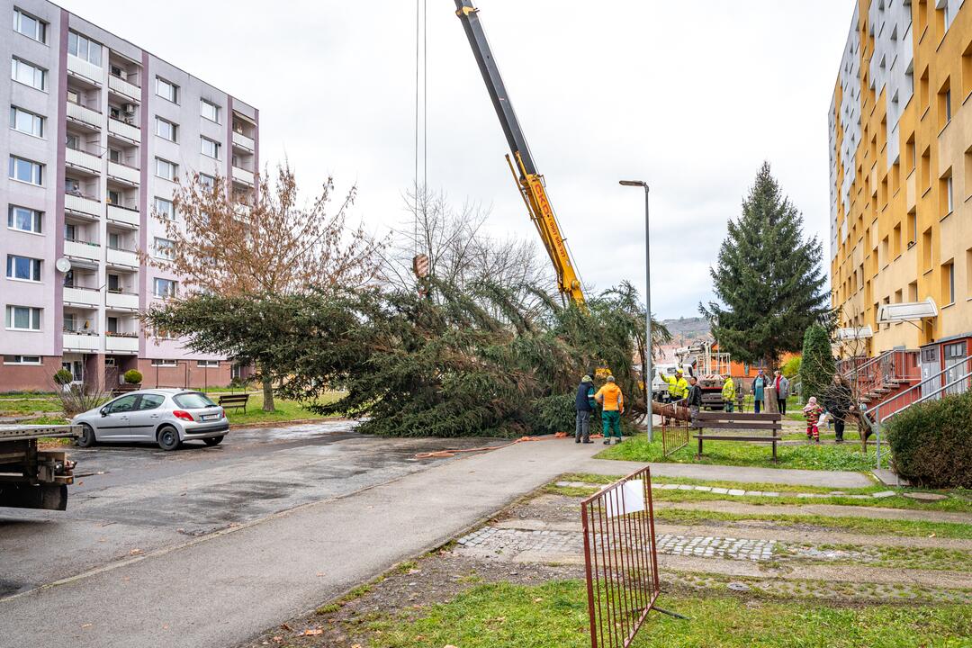 FOTO: Pozrite si, ako sa dostal stromček aj na námestie v Žiari nad Hronom, foto 7