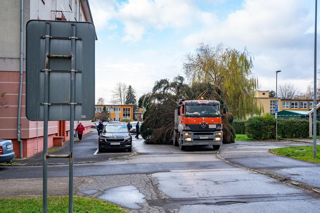 FOTO: Pozrite si, ako sa dostal stromček aj na námestie v Žiari nad Hronom, foto 9