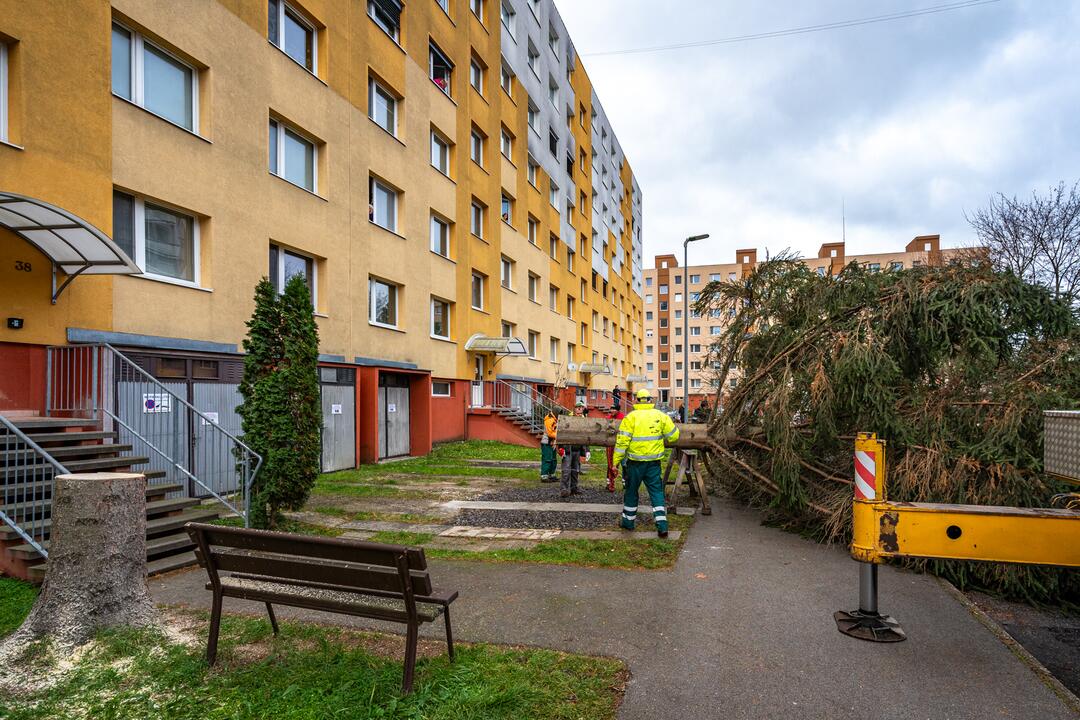 FOTO: Pozrite si, ako sa dostal stromček aj na námestie v Žiari nad Hronom, foto 10