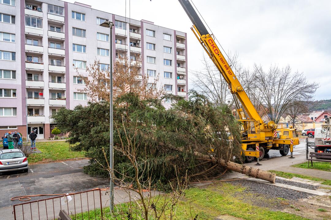 FOTO: Pozrite si, ako sa dostal stromček aj na námestie v Žiari nad Hronom, foto 11