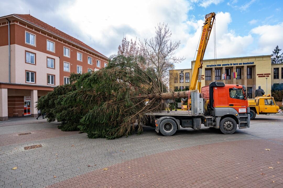 FOTO: Pozrite si, ako sa dostal stromček aj na námestie v Žiari nad Hronom, foto 14