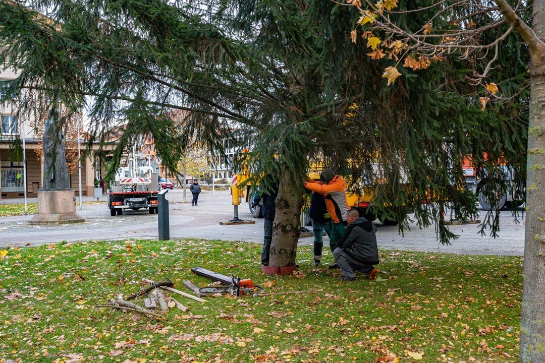 FOTO: Pozrite si, ako sa dostal stromček aj na námestie v Žiari nad Hronom, foto 15