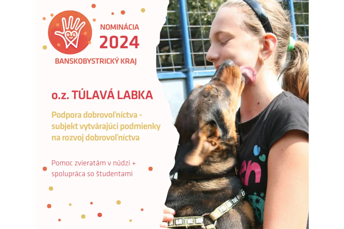 FOTO: 18. ročník ocenení Srdce na dlani, foto 35