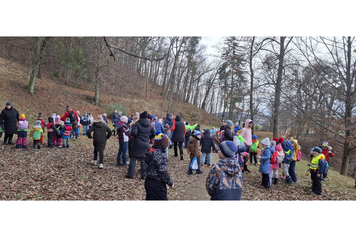 FOTO: Deti pomohli s príkrmom lesnej zveri, foto 3
