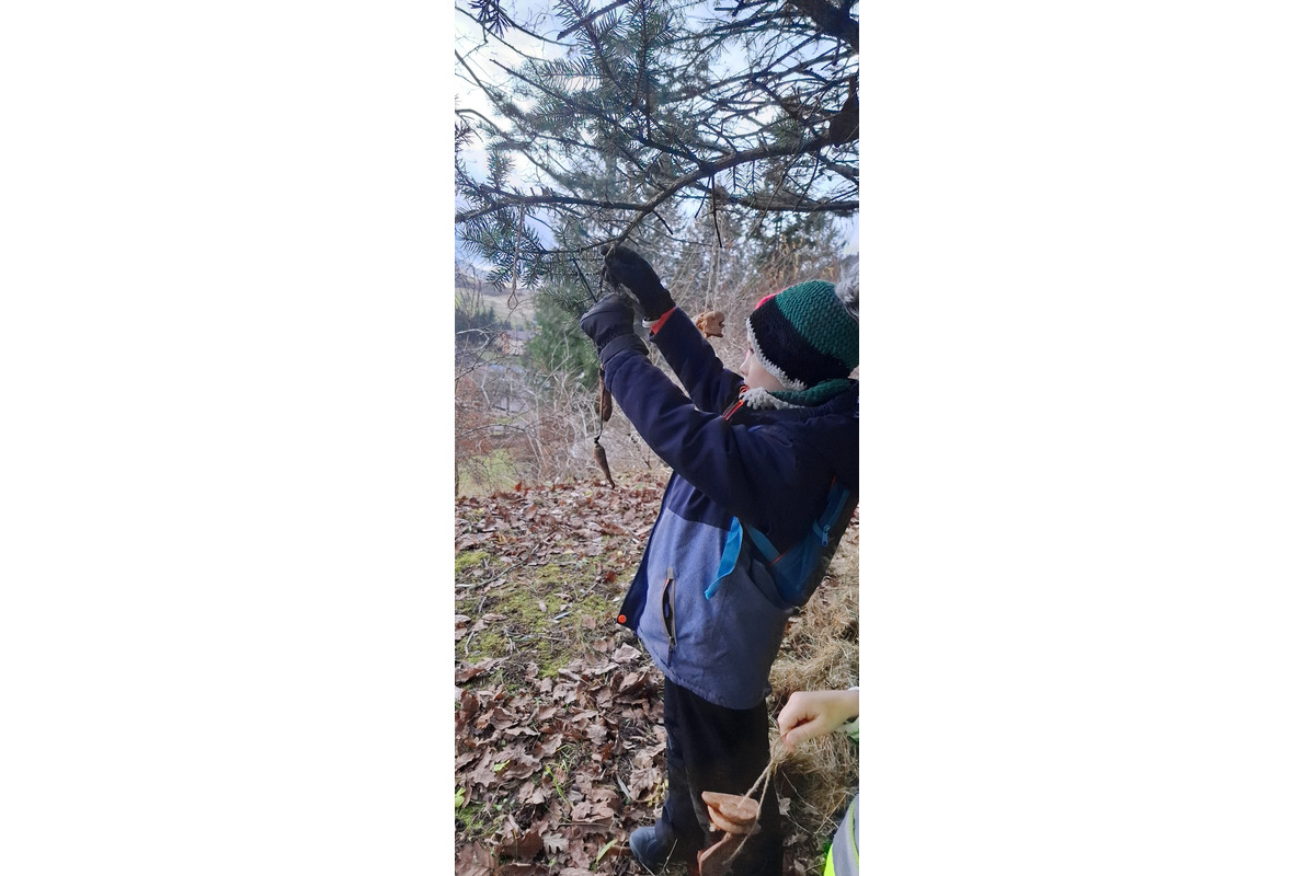 FOTO: Deti pomohli s príkrmom lesnej zveri, foto 4