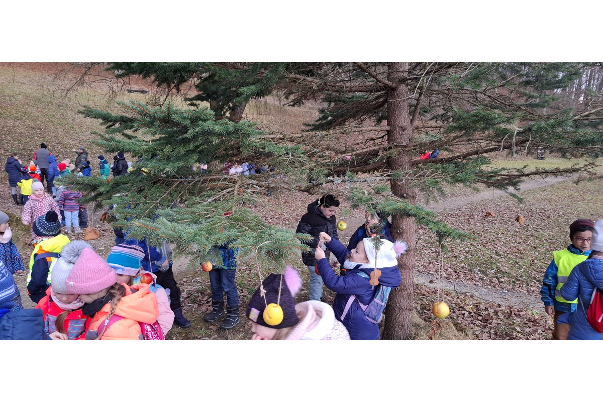 FOTO: Deti pomohli s príkrmom lesnej zveri, foto 11