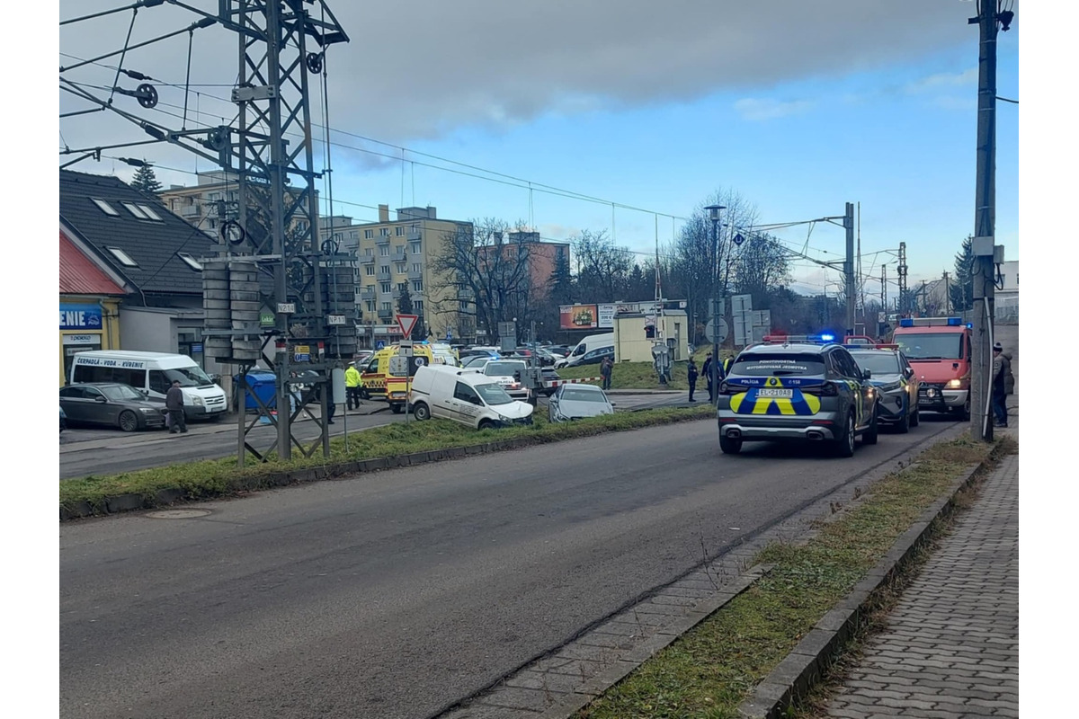 FOTO: Deti pomohli s príkrmom lesnej zveri, foto 12