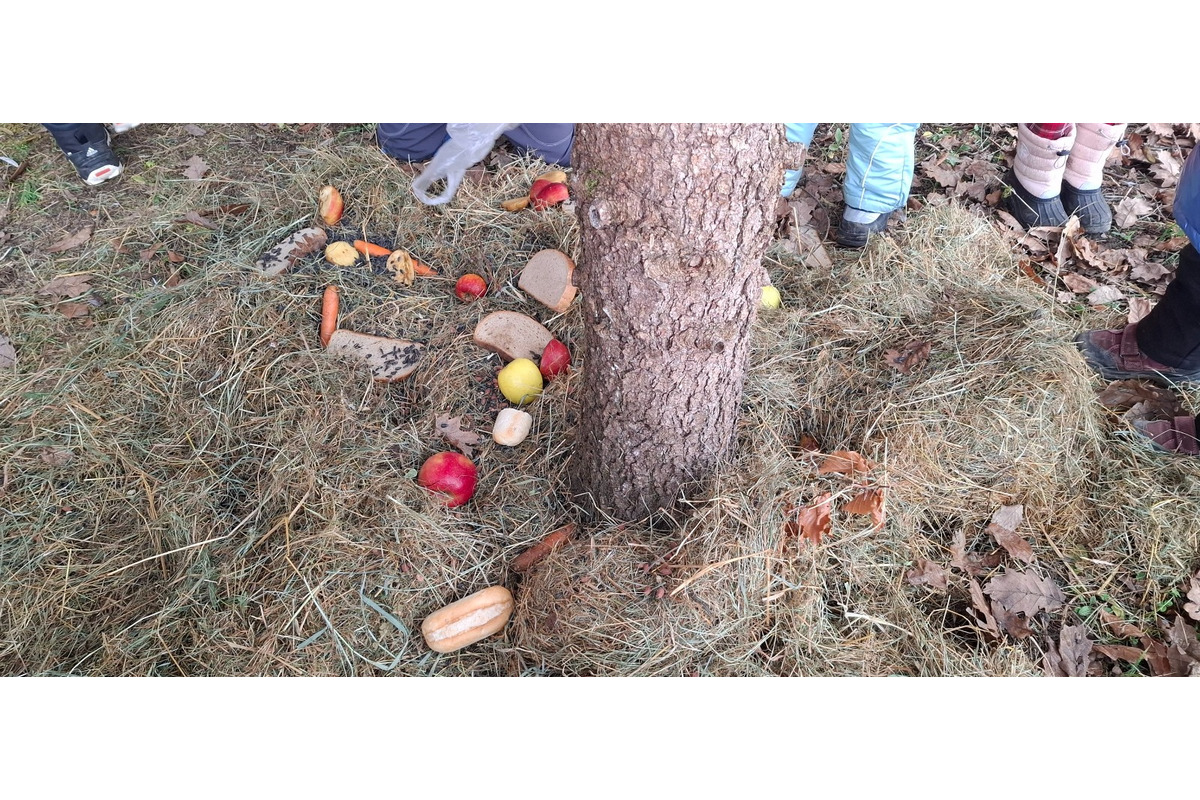 FOTO: Deti pomohli s príkrmom lesnej zveri, foto 14