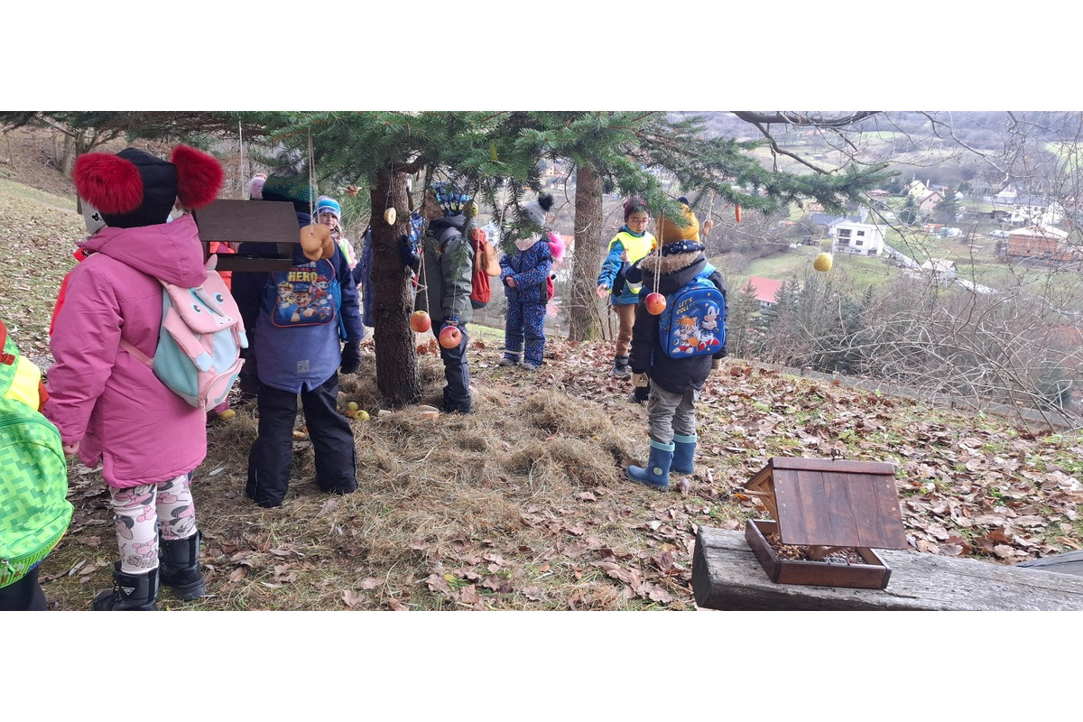 FOTO: Deti pomohli s príkrmom lesnej zveri, foto 15