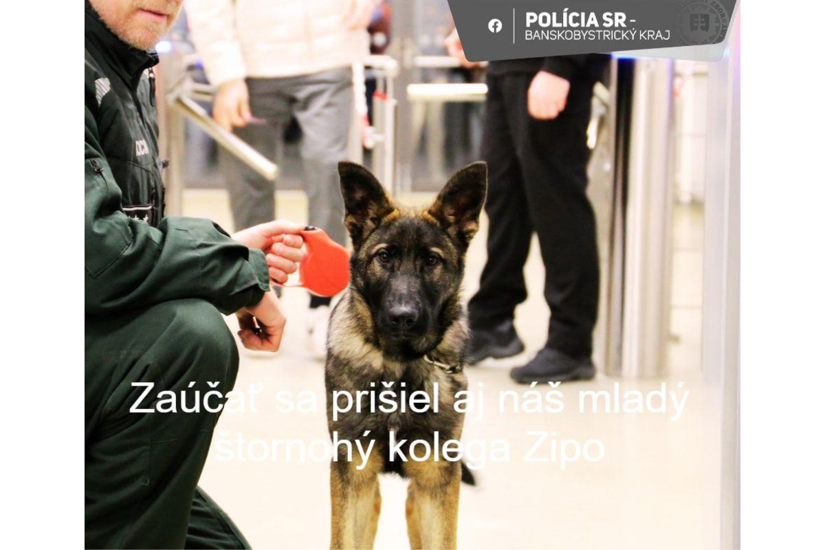 FOTO: FOTO: Derby medzi Banskou Bystricou a Zvolenom očami polície, foto 3