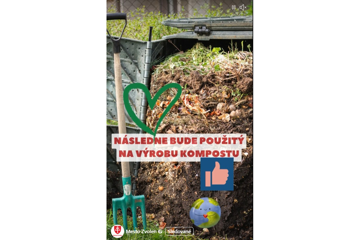 FOTO: Zber vianočných stromčekov vo Zvolene pretrváva, foto 3