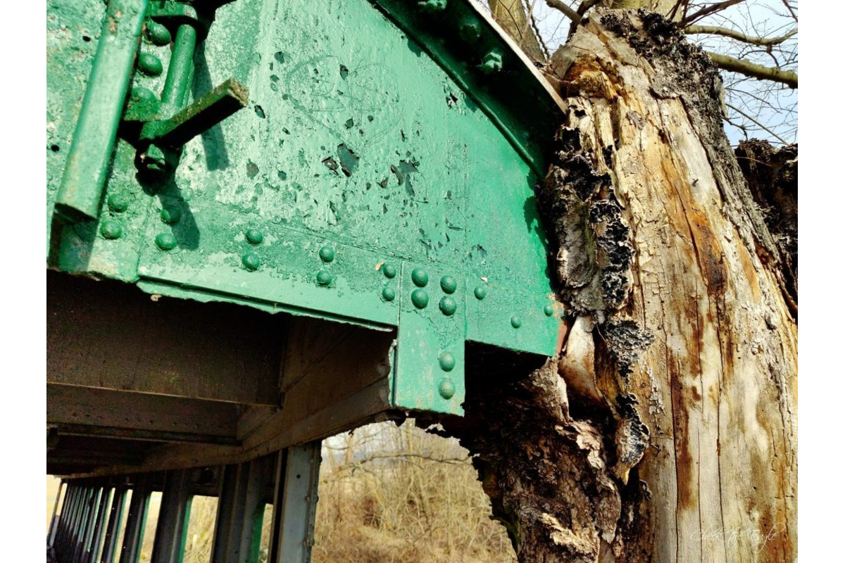 FOTO: História mosta má niekoľko desaťročí, foto 4