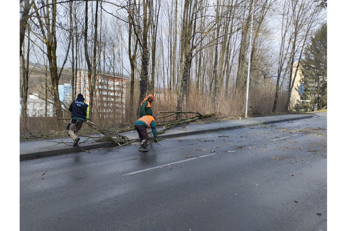 FOTO: ZAaRES oslavuje jubileum, foto 17