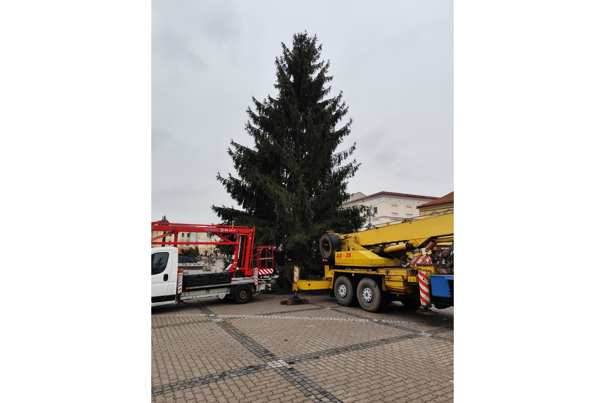 FOTO: ZAaRES oslavuje jubileum, foto 20