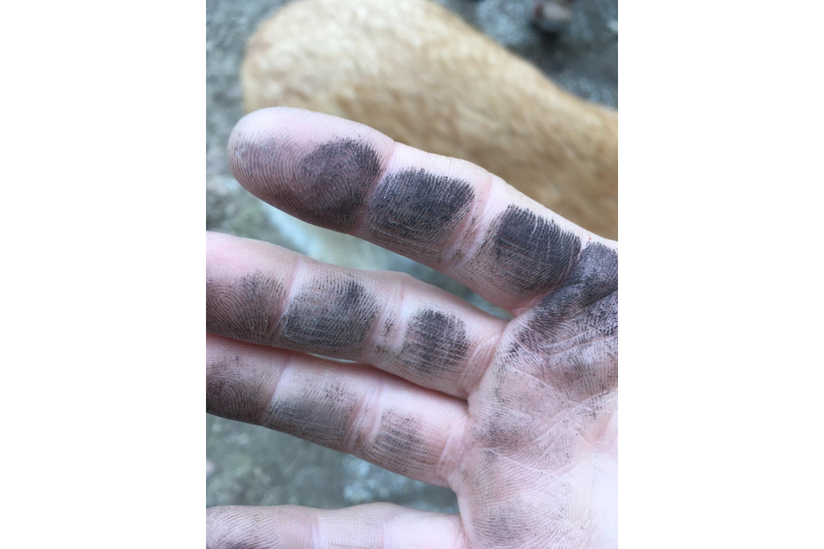 FOTO: Zábery sadzí od občanov, foto 2