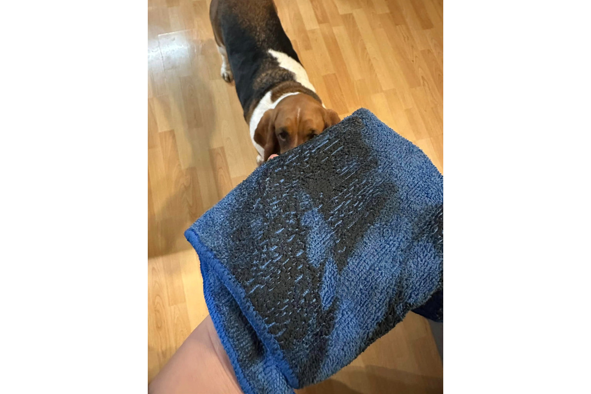 FOTO: Zábery sadzí od občanov, foto 5